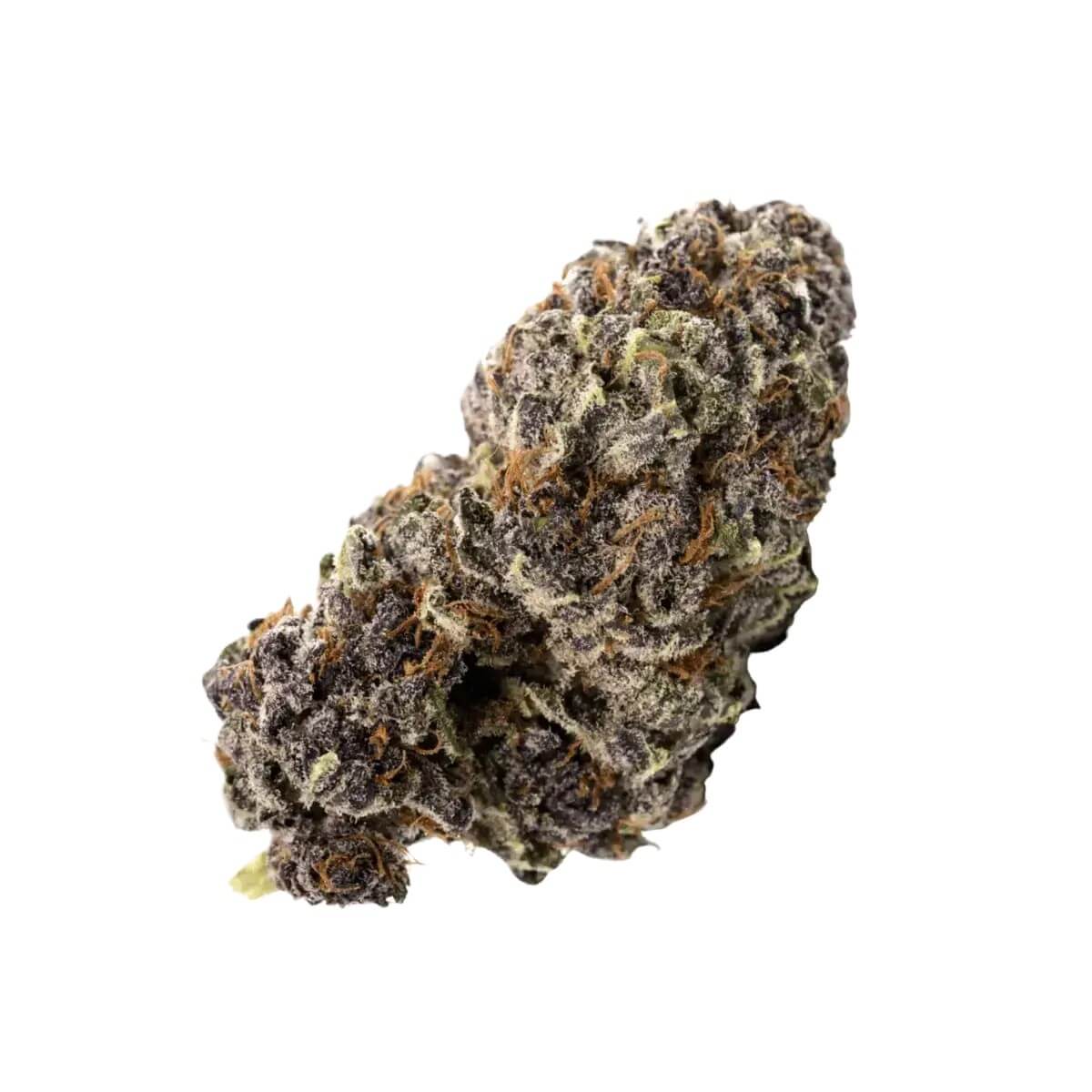 hisociety-bz-29-1 HiSociety BZ 29/1 Blue Zushi – Bild 1