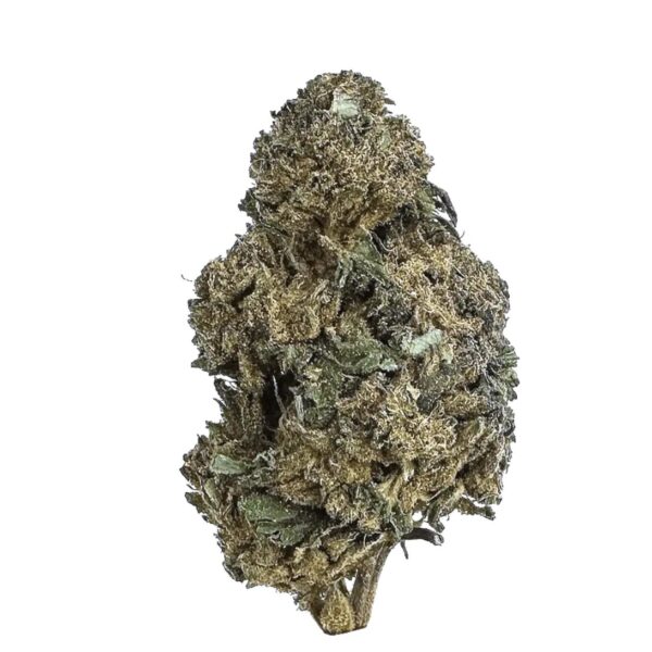 Huala 22/1 CA BTR Black Triangle