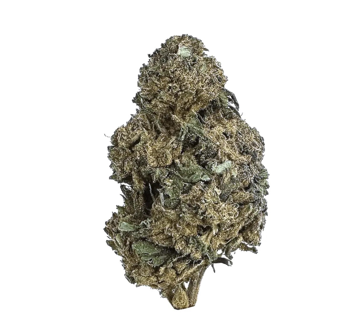 huala-22-1-ca-btr Huala 22/1 CA BTR Black Triangle – Bild 1