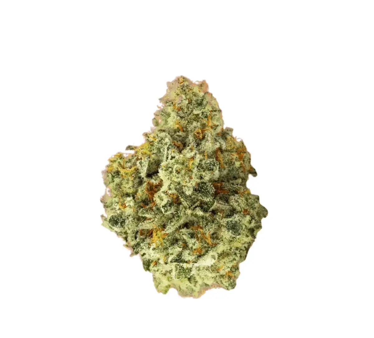 huala-25-1-ca-alm Huala 25/1 CA ALM Alien Mints – Bild 1