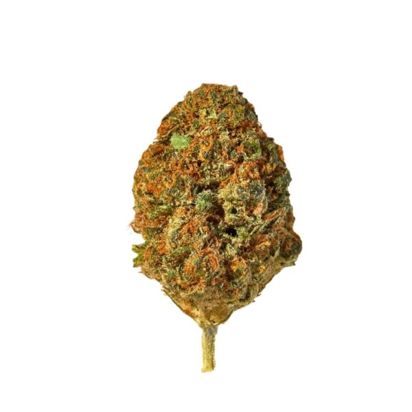 IMC DP THC 22 MIDS Deep Plum