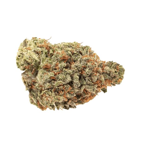 IMC GMO THC27 Token Purple Malawi