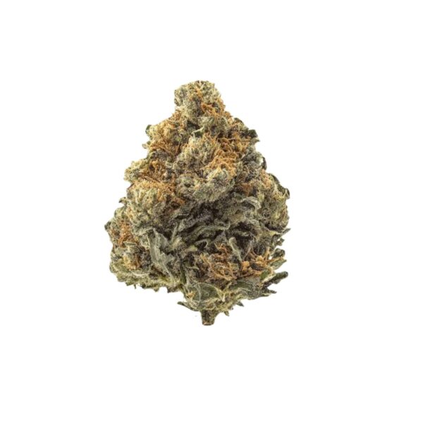 IMC LR THC27 Limonetti Rhino