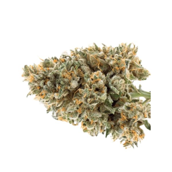 IMC RC6 THC20 Tropic Smash