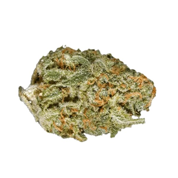 IMC RWT THC25 Token White Rhino