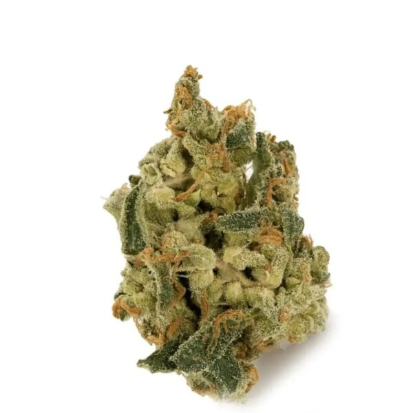 IMC THC22 T05 Somango Skunk