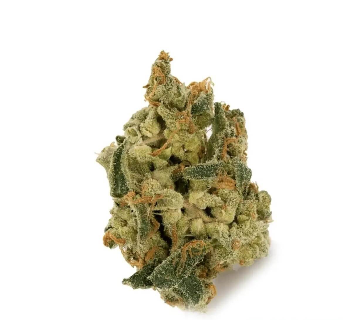 imc-thc22-t05 IMC THC22 T05 Somango Skunk – Bild 1