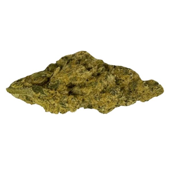 LIT 31/1 SNW Snow Lotus