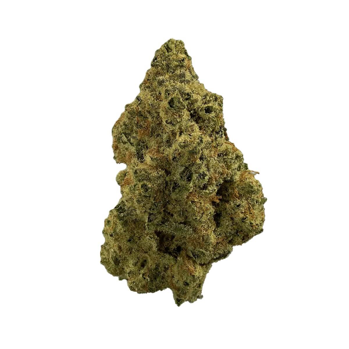 madrecan-18-1-granddaddy-og madrecan 18/1 Granddaddy OG – Bild 1