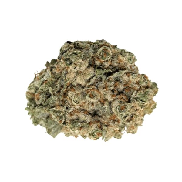 madrecan 21/1 HiFi 4G