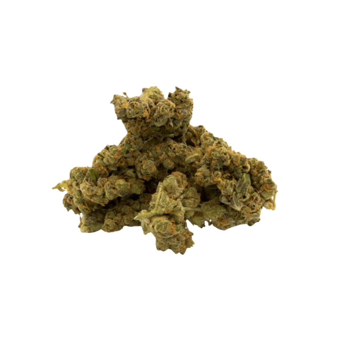 mecann-24-1 MeCann 24/1 Oreoz – Bild 1