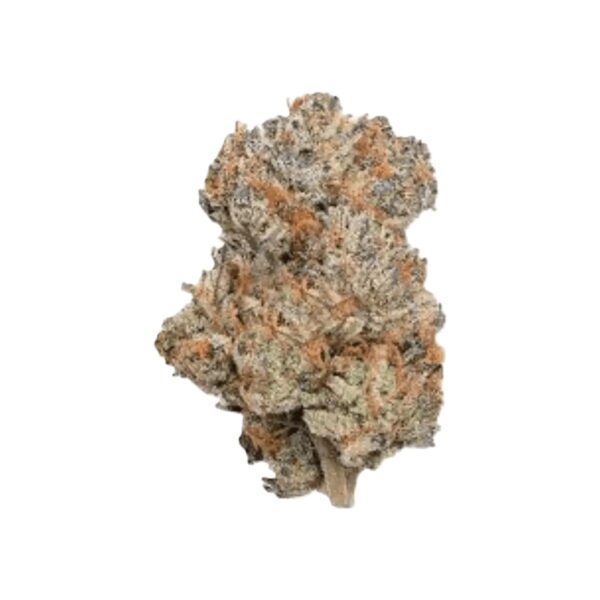 MeCann 25/1 Permanent Marker