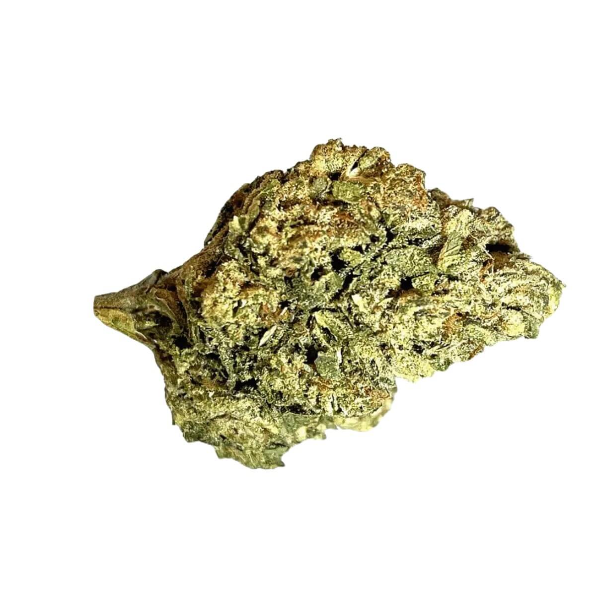 medical-saints-24-1-ptr Medical Saints 24/1 PTR Peach Tree – Bild 1