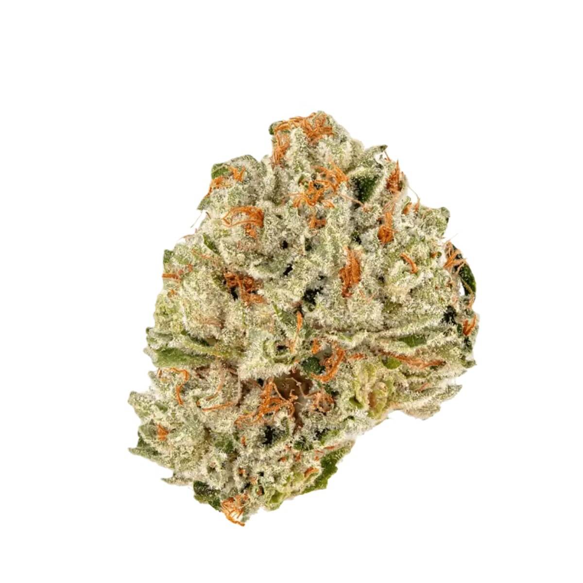 medicann-21-1-mc-oro-21 MediCann 19/1 MC Oro 21 Duende – Bild 1