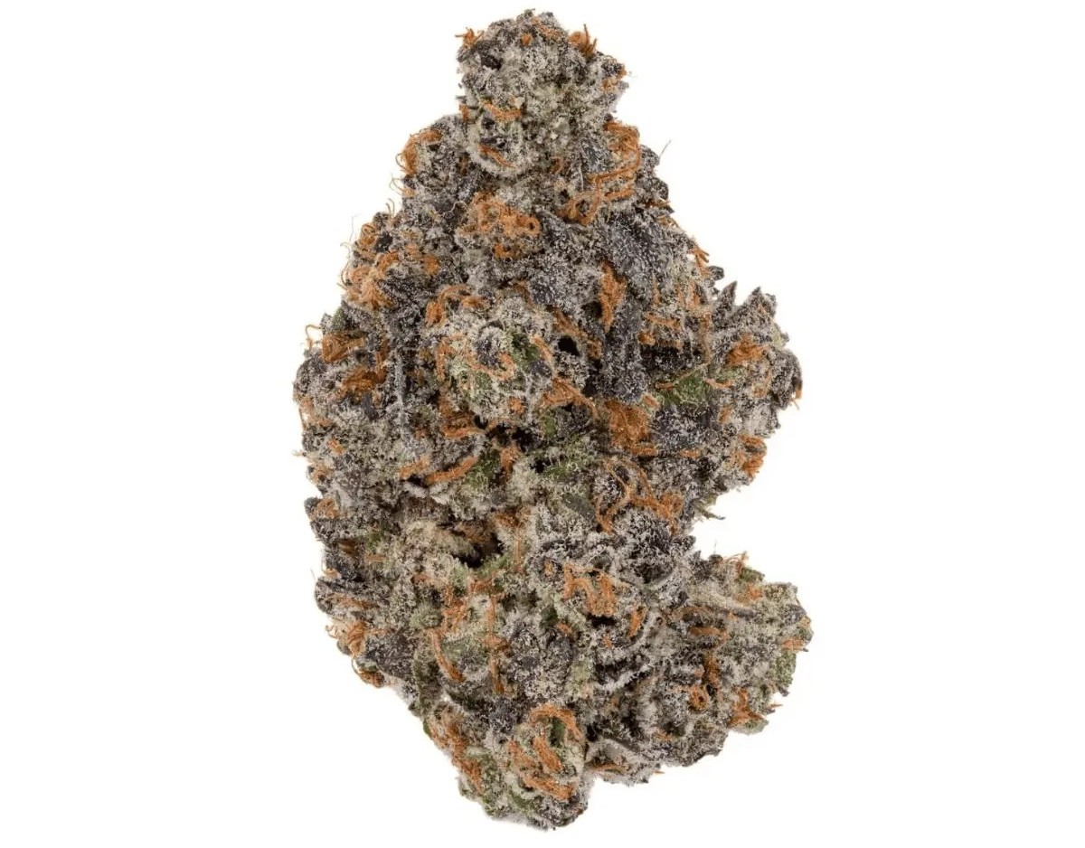 medicus-24-1-evs Medicus 24/1 YAR RND Razzle n' Dazzle – Bild 1