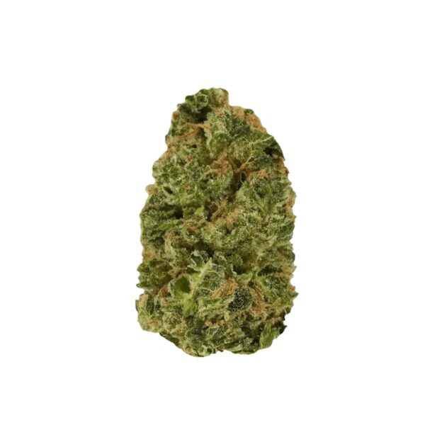 Medicus 27/1 EZA DSD Do-Si-Dos