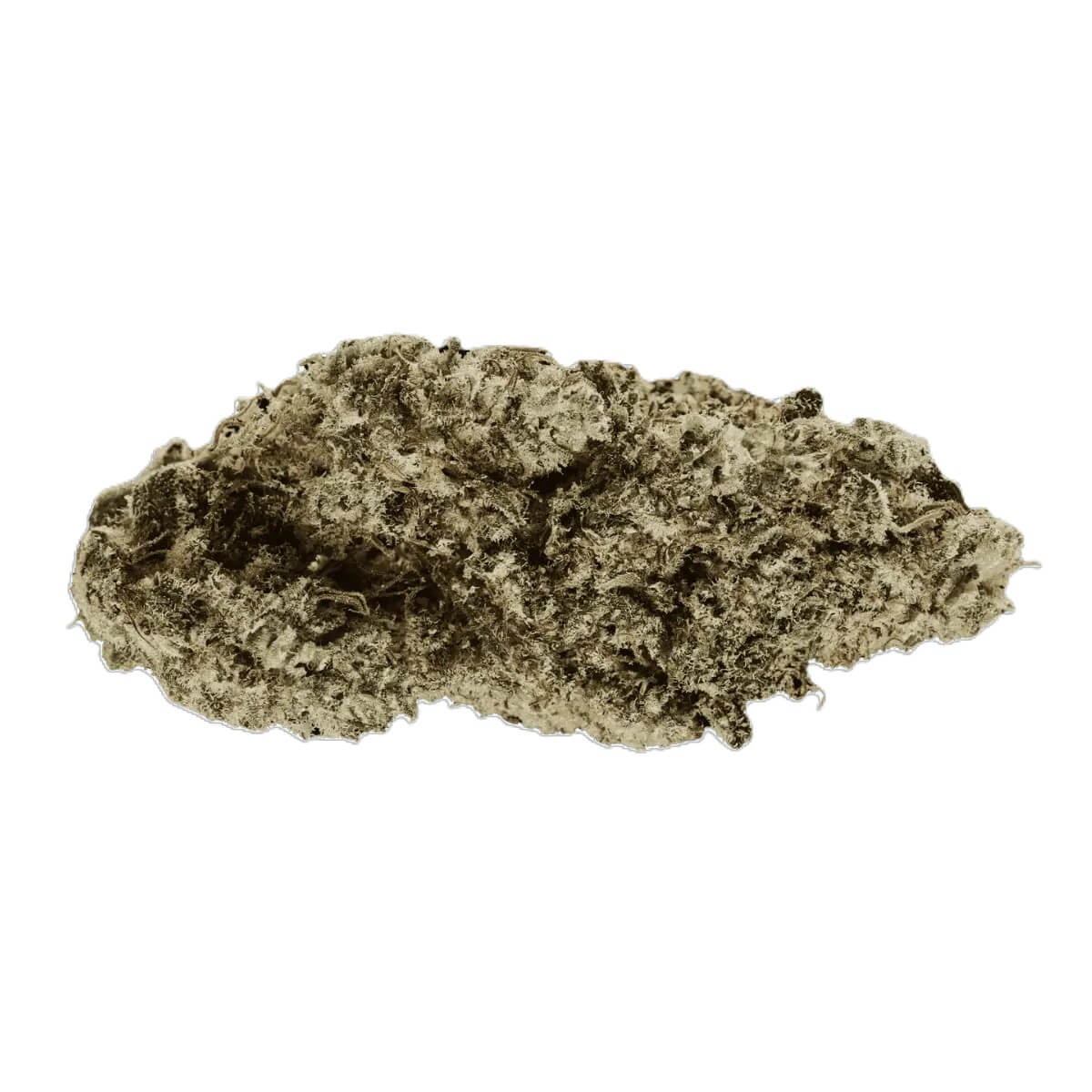 mediprocan-lunaris-25-1-capri-haze MediproCan LUNARIS 25/1 Capri Haze – Bild 1