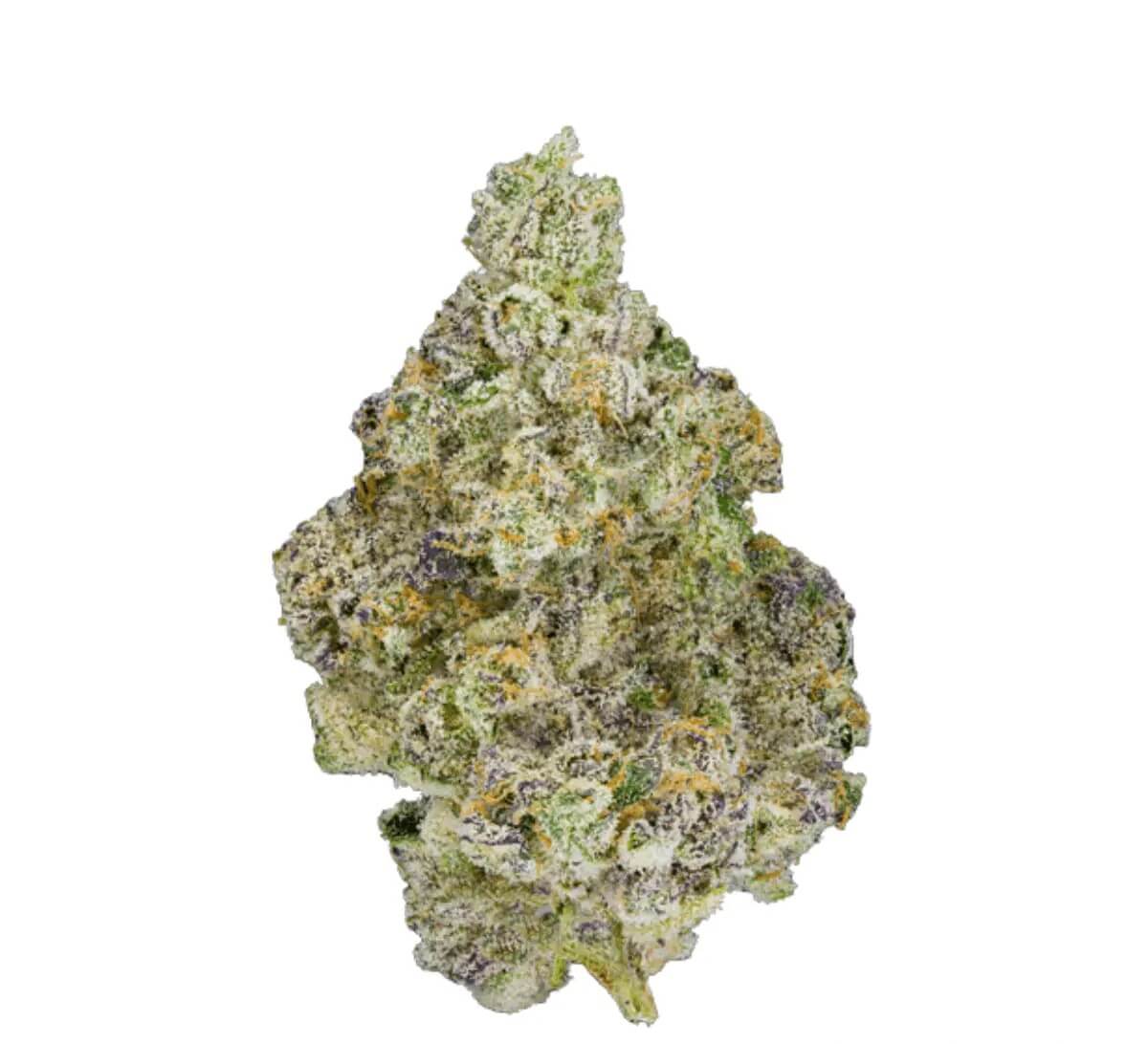 mediprocan-lunaris-25-1-paradiso mediproCan Lunaris 25/1 Paradiso – Bild 1