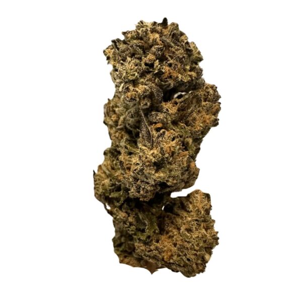 Mediprocan Simba 25/1 Purple Panther