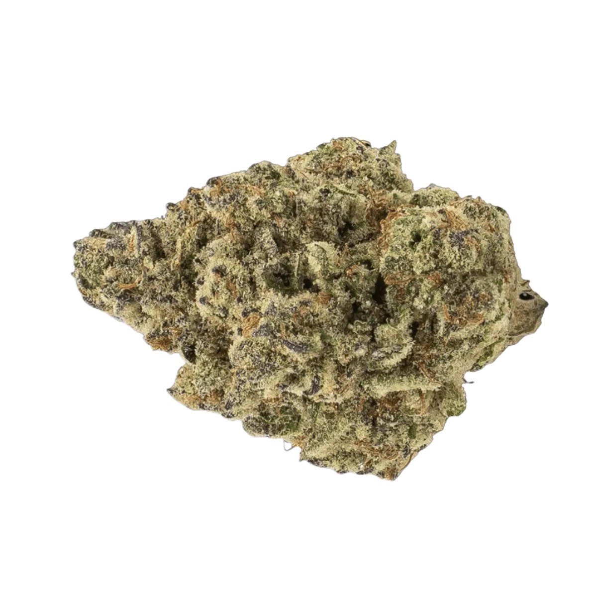 mgf-cann-jgn-26-1 MGF CANN JGN 26/1 - Motor Crasher – Bild 1