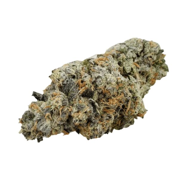 Mother 26 CTBX Chatterbox