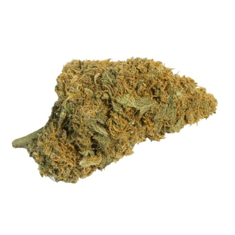 nice-18-1-mm NICE 18/1 MM Mango Mints – Bild 1