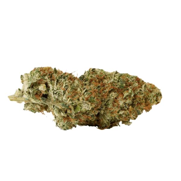 NICE 19/1 FZK Forbidden Zkittlez