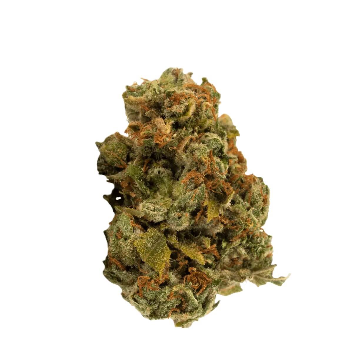 nice-20-1-lmj NICE 20/1 LMJ Lemon Jane – Bild 1