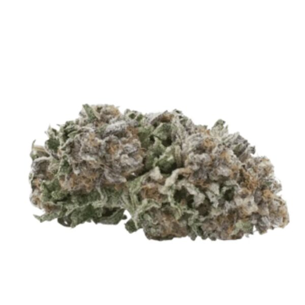 NICE 22/1 WCA Wedding Cake