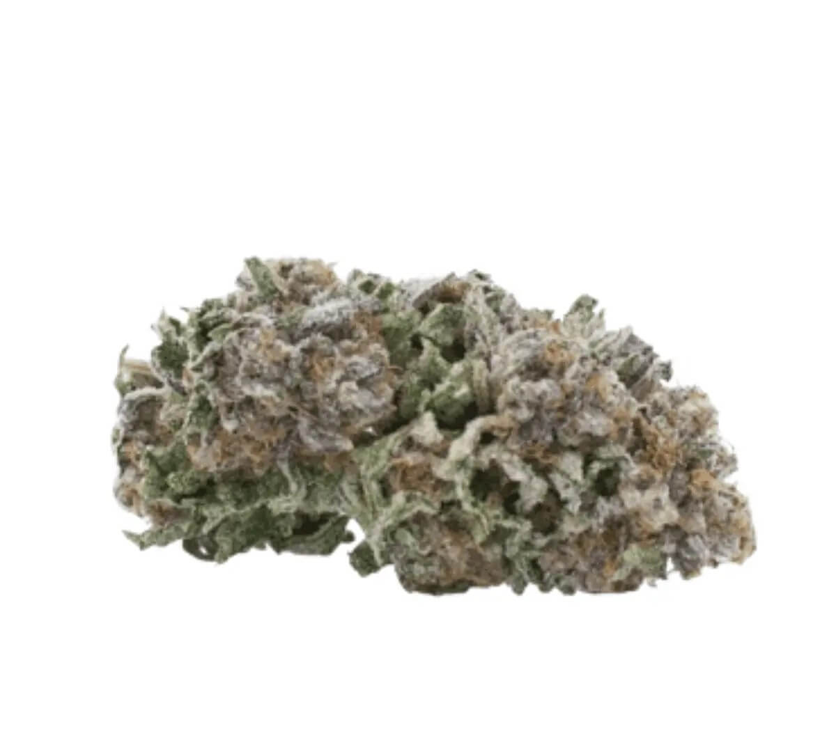 nice-22-1-pm NICE 22/1 BL Black Lime – Bild 1