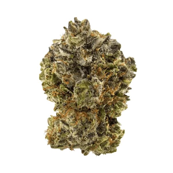 27/1 NICE CB Cocoa Bomba