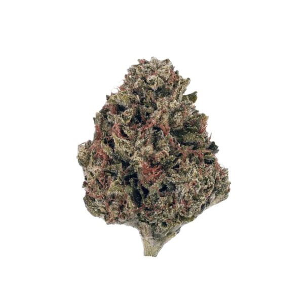 NICE 31/1 KM Kush Mints