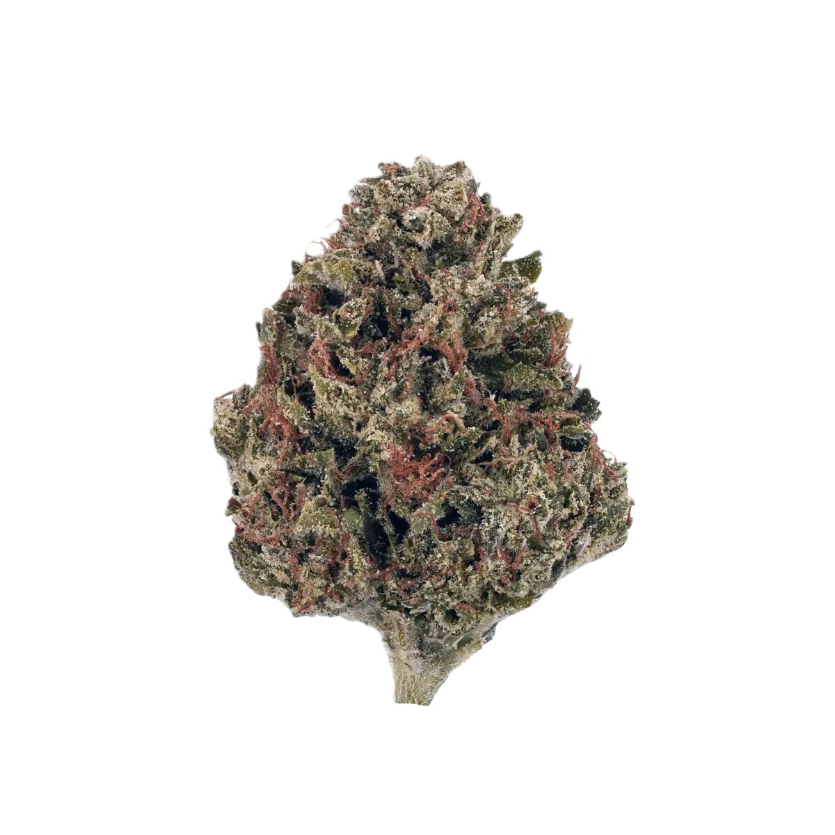 nice-31-1-km NICE 31/1 KM Kush Mints – Bild 1