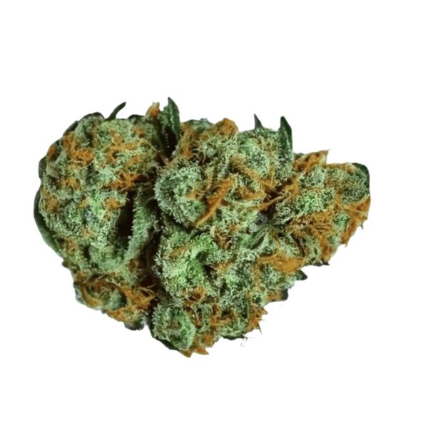 NICE surprise 16/1 OZK Ozark