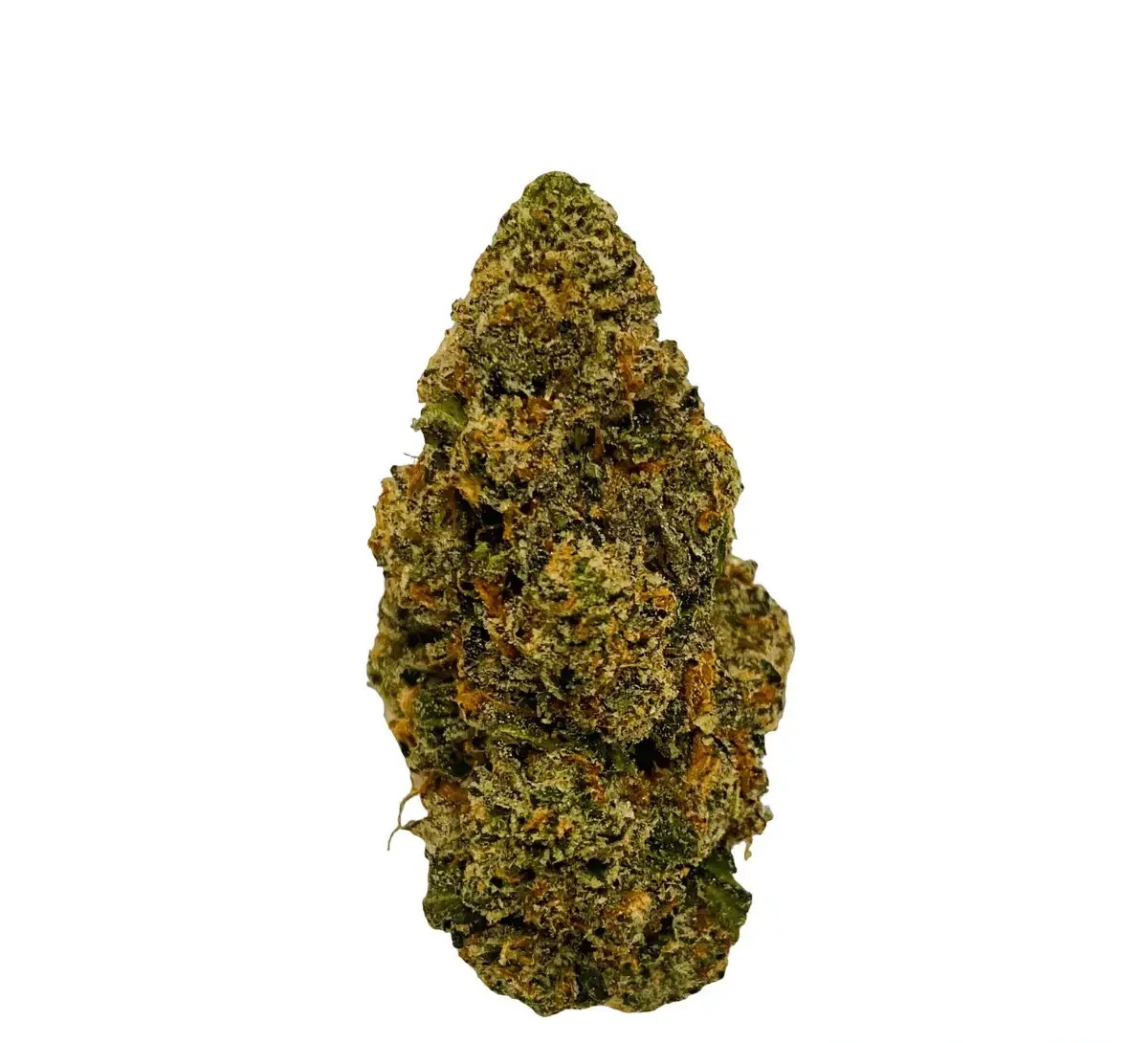 ostara-gc-25-1 Ostara GC 25/1 Gas Cake – Bild 1