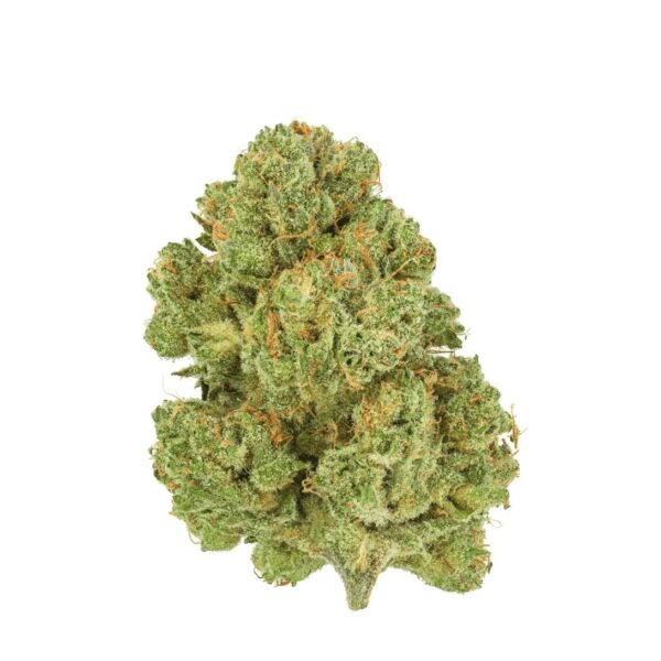 Pedanios 10/13 MBE-CA Moon Berry