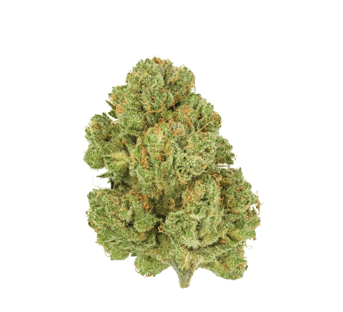 pedanios-10-13-mbe-ca-moon-berry Pedanios 10/13 MBE-CA Moon Berry – Bild 1