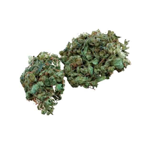 Pedanios 22/1 Ghost Train Haze