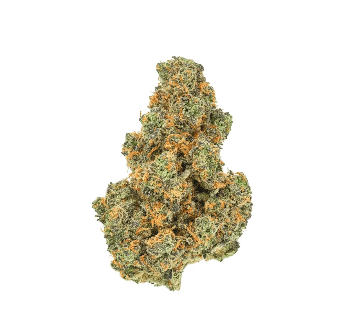 pedanios-27-1-pnd-ca Pedanios 27/1 PND-CA Pink Diesel – Bild 1