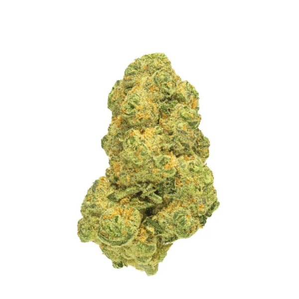 Pedanios 31/1 COS-CA Cosmic Cream