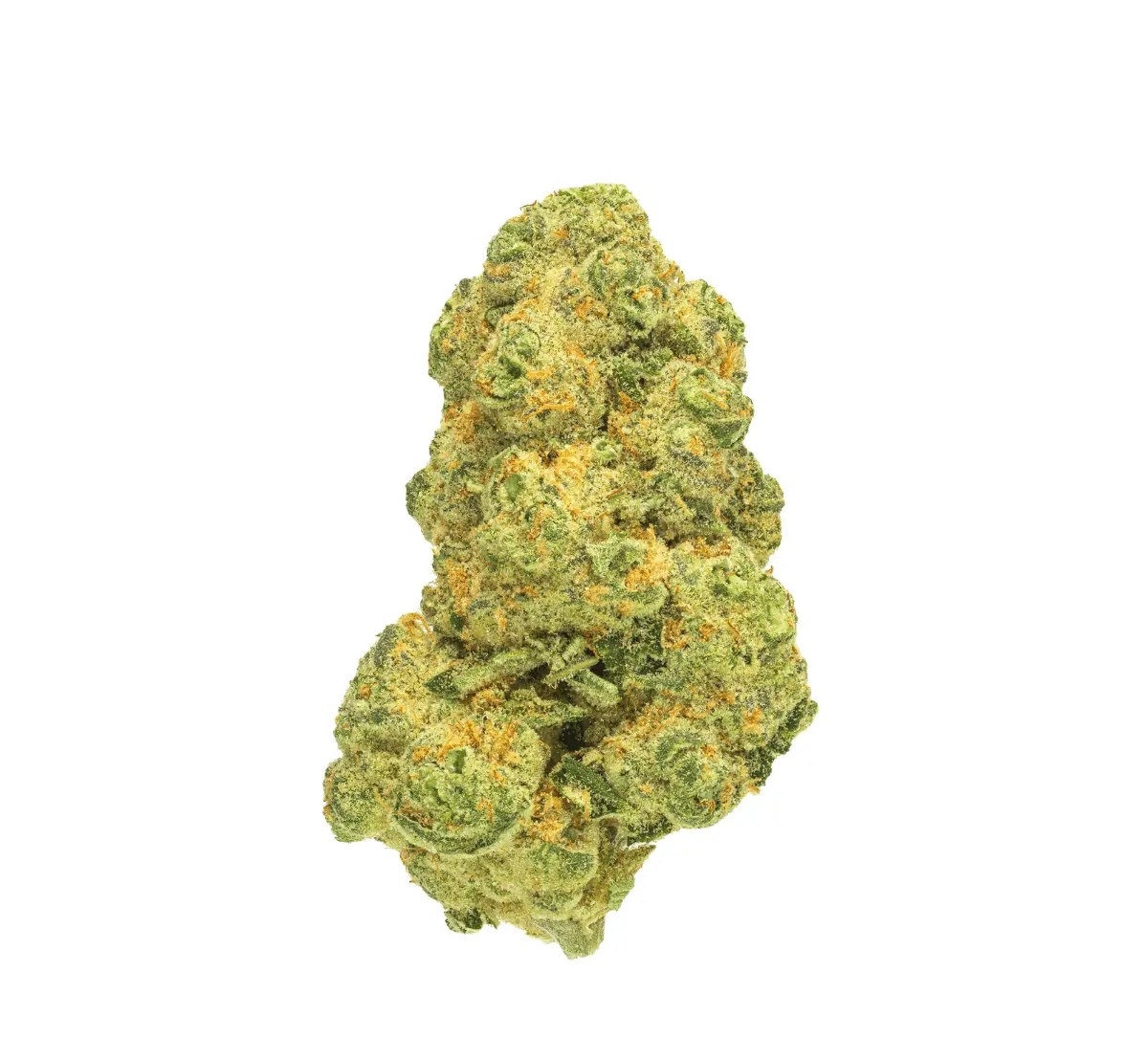 pedanios-31-1-cos-ca Pedanios 31/1 COS-CA Cosmic Cream – Bild 1