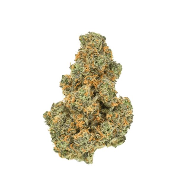 Pedanios 31/1 PND-CA Pink Diesel