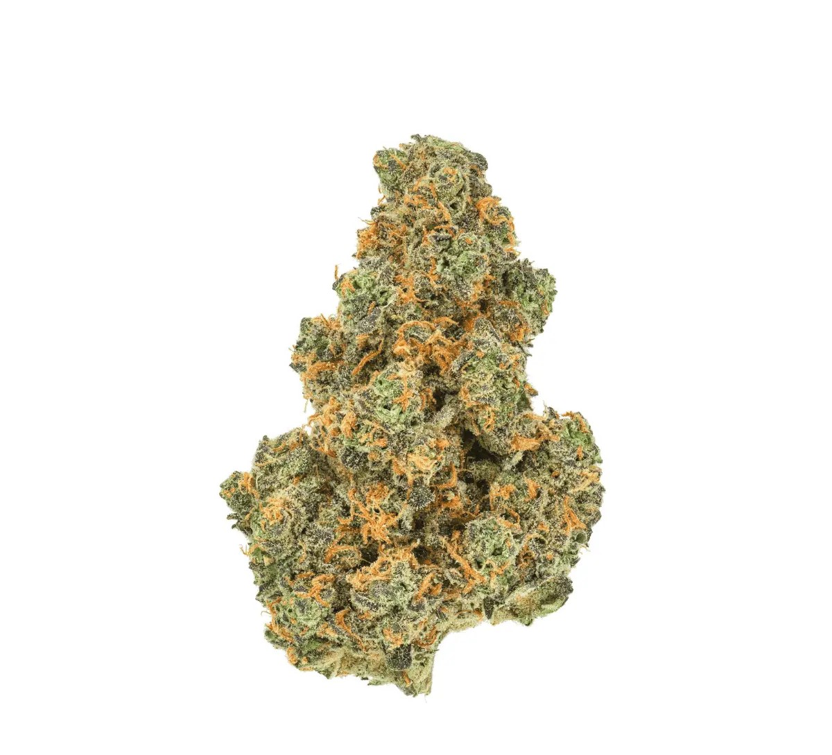 pedanios-31-1-pnd-ca Pedanios 31/1 PND-CA Pink Diesel – Bild 1