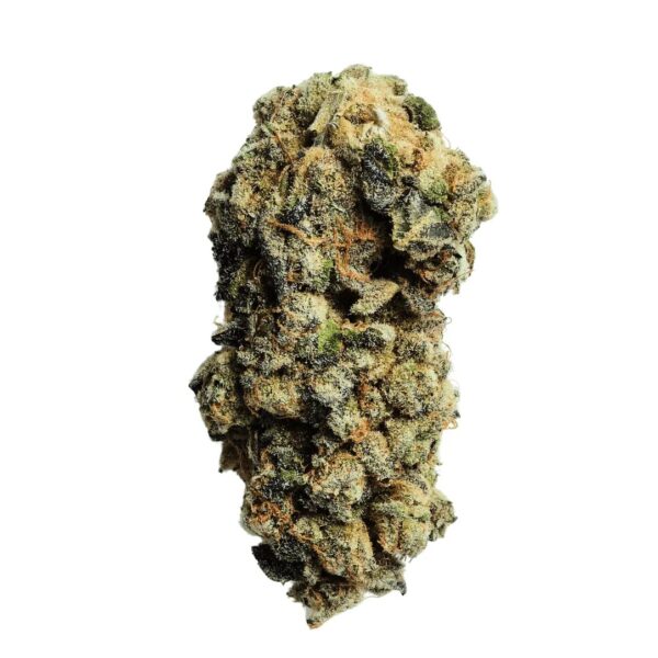 Remexian 21/1 TRF ICW Ice Cream Wizard