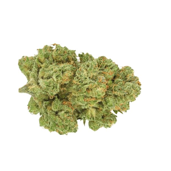 Remexian 21/1 RAS ALB Astral Berry