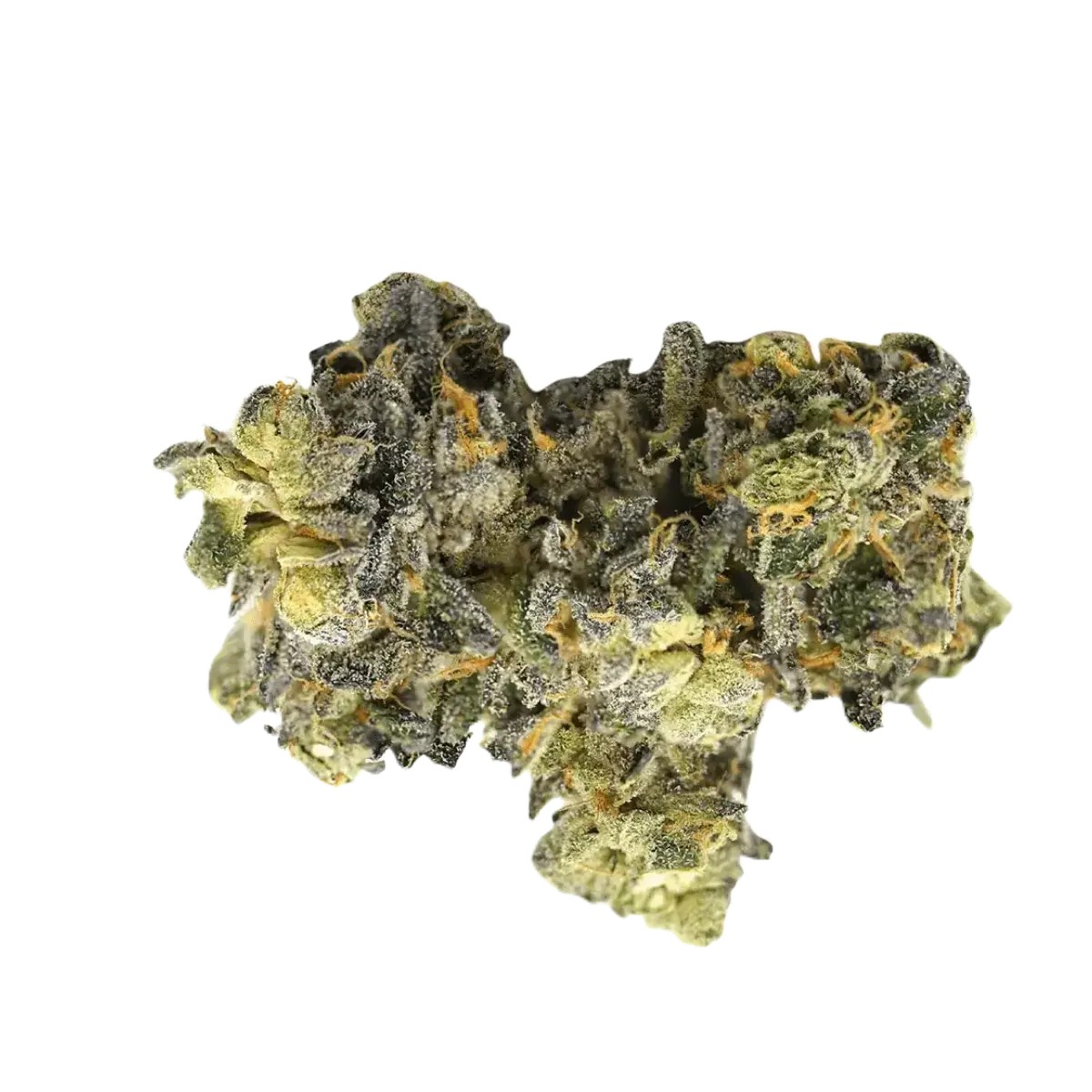 remexian-22-1-bpd Remexian 22/1 BPD Big Purple Dragon – Bild 1