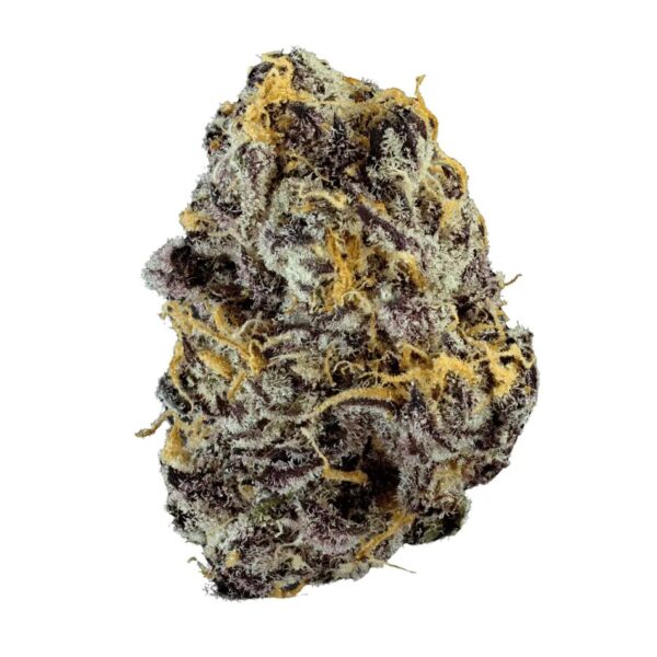 Remexian 24/1 CAL VVT Valvetron