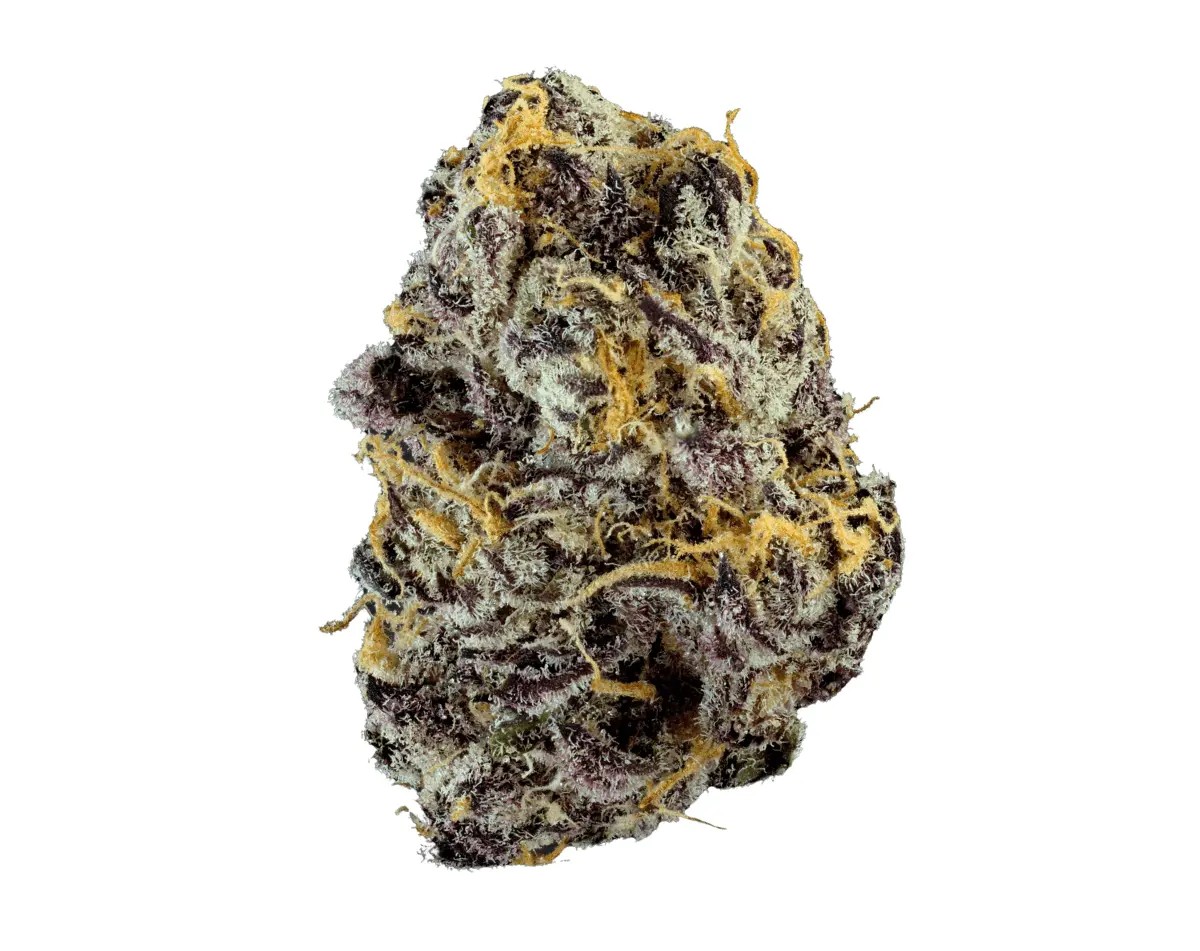 remexian-24-1-c3 Remexian 24/1 CKE FLV Flawless Victory – Bild 1