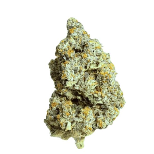 Remexian 24/1 DCT MOO Monaco Octane