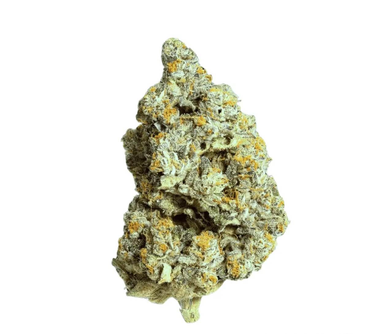 remexian-24-1-dct-moo Remexian 24/1 DCT MOO Monaco Octane – Bild 1